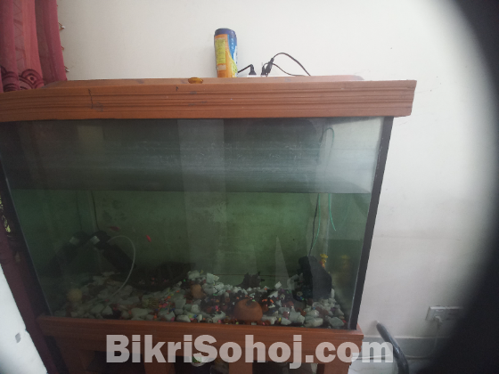 এ্যাকুরিয়াম